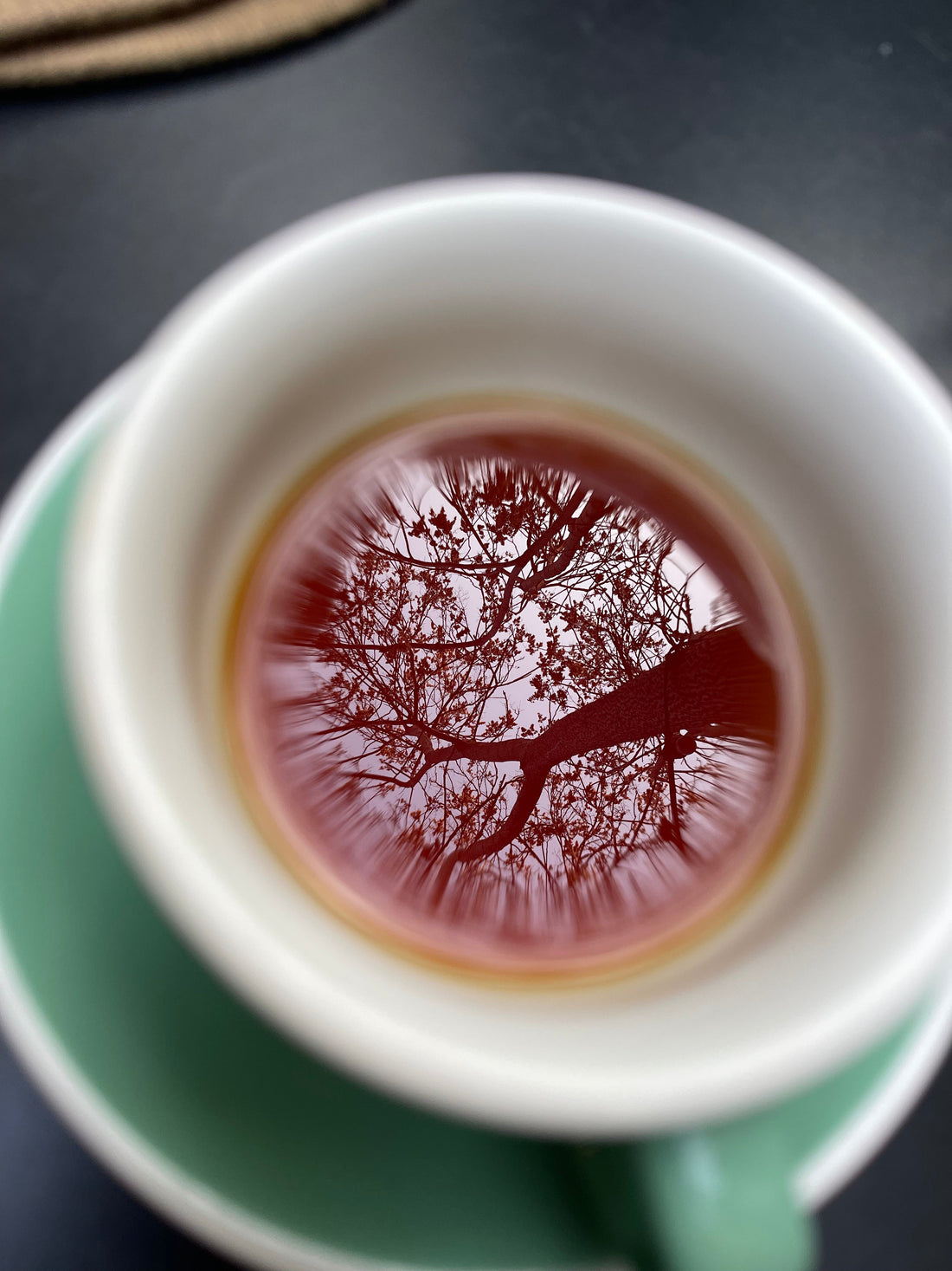 Roam & Roast: Our Passion for Single Origin Coffee