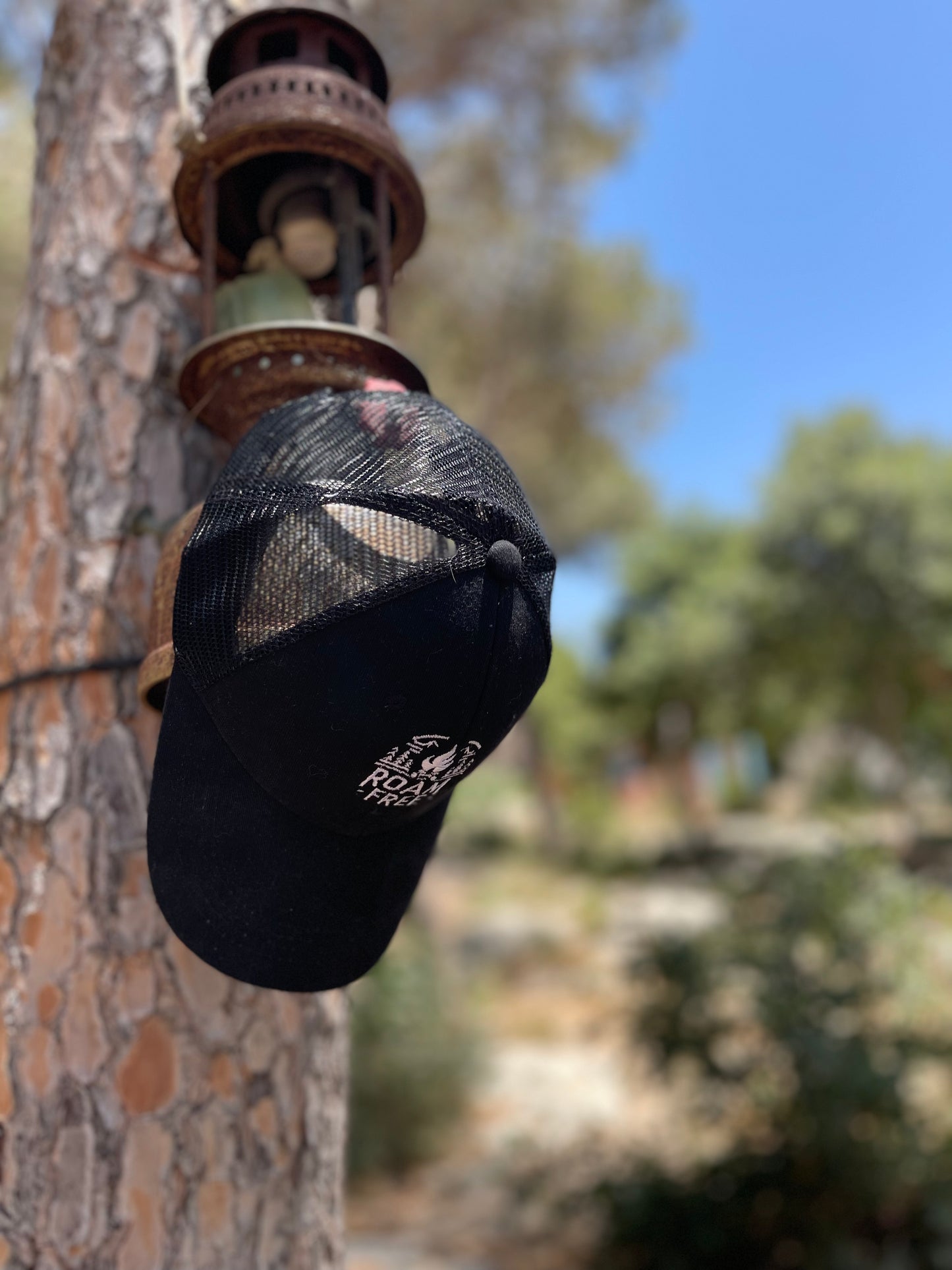 Roam Free Cap